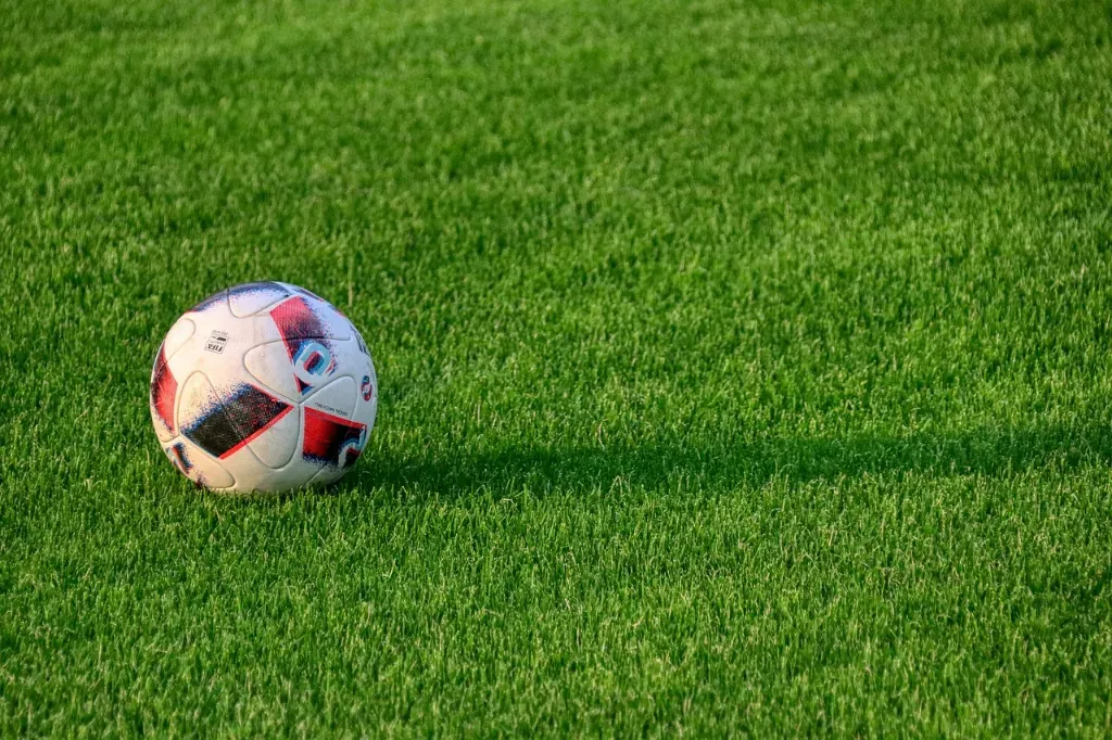 Jakie materiały najlepiej sprawdzają się w piłkochwytach